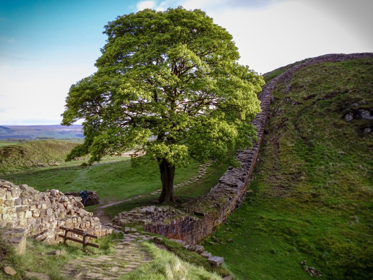 hadrians wall sycamore gap rome roman ruins