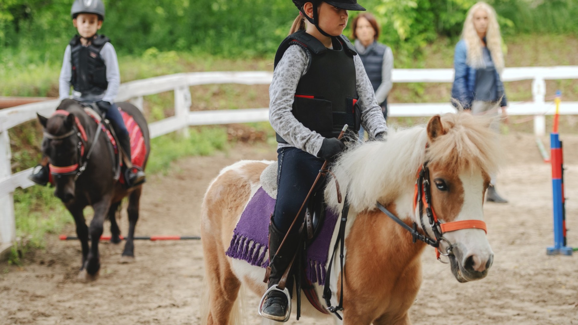 horse riding kid lessons equestrian