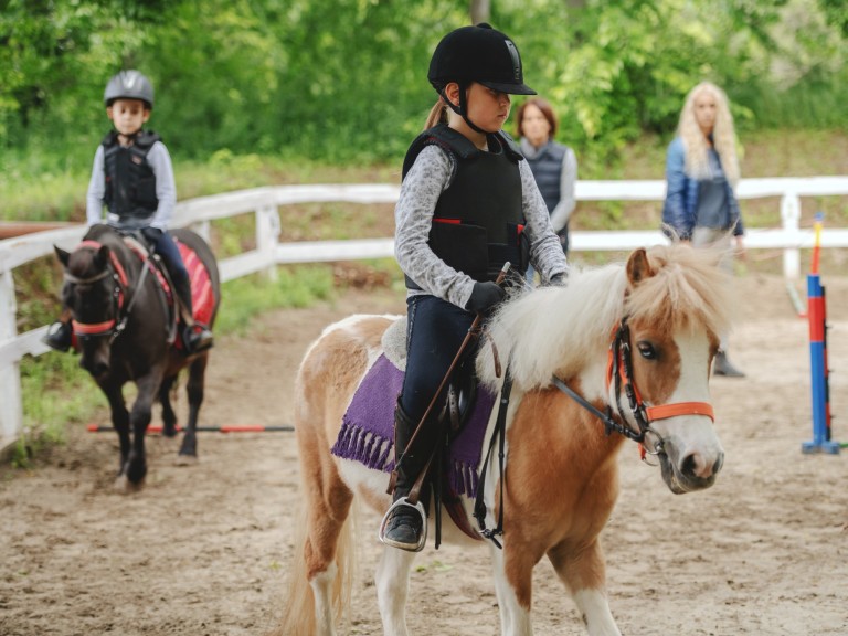 horse riding kid lessons equestrian