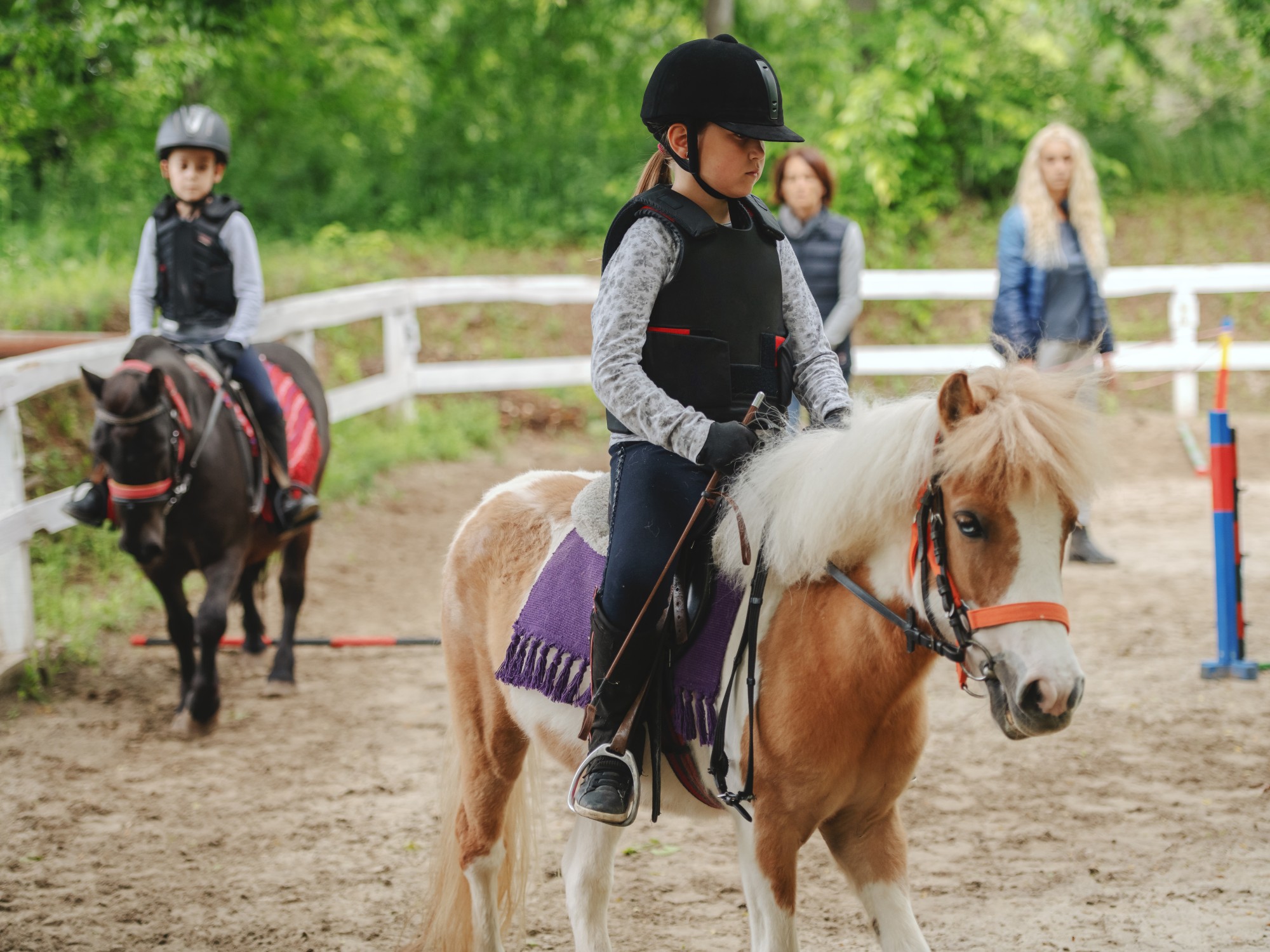 horse riding kid lessons equestrian