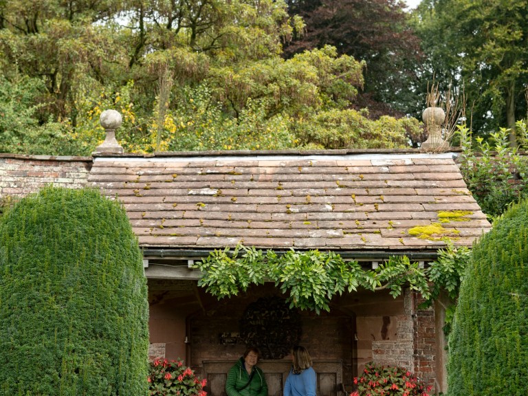 hutton in the forest house shack bush