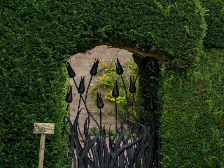 hutton in the forest walkway bush