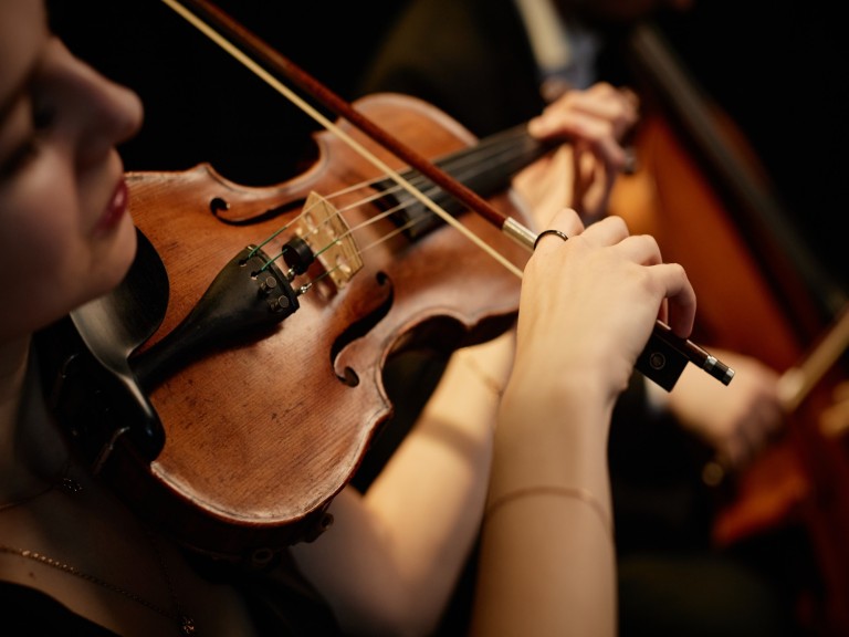 instrument group quartet violin string