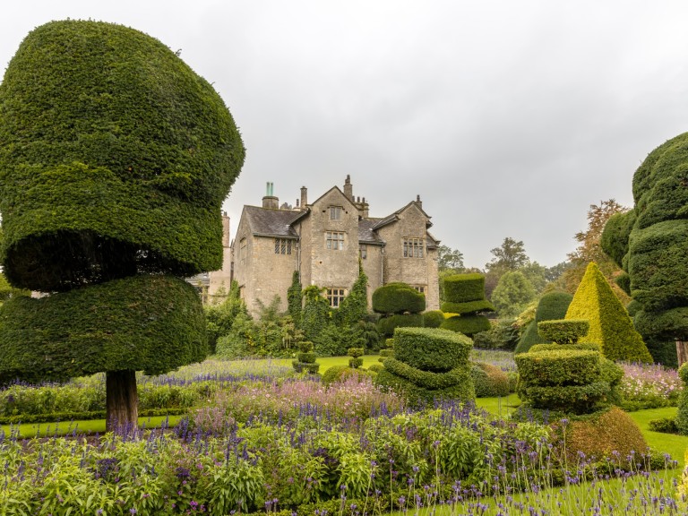 levens hall garden bush castle