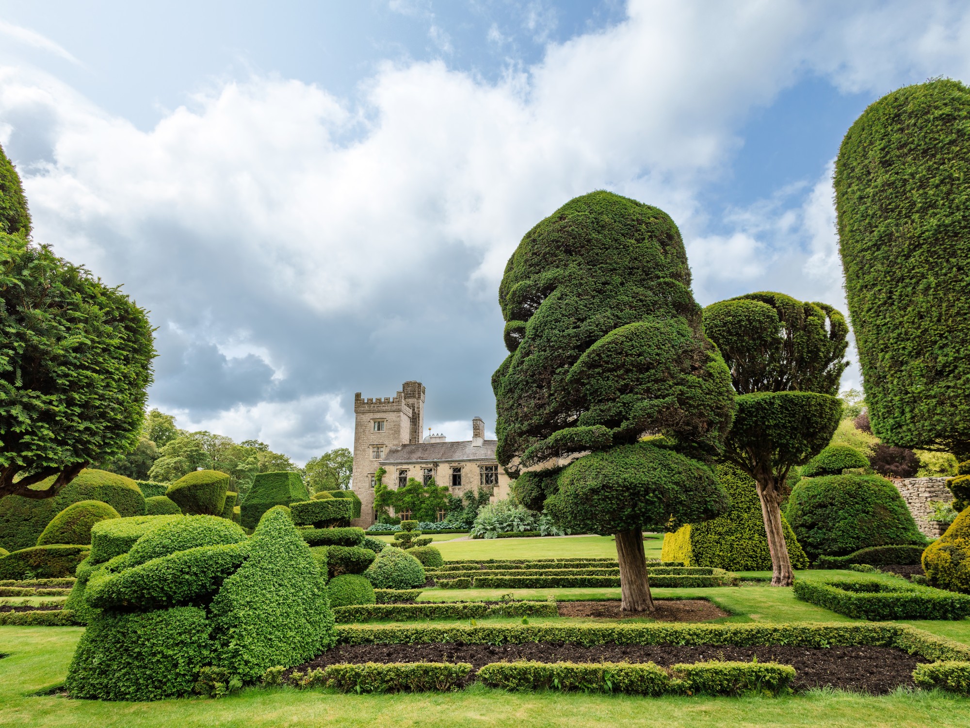 levens hall garden bush flowers castle