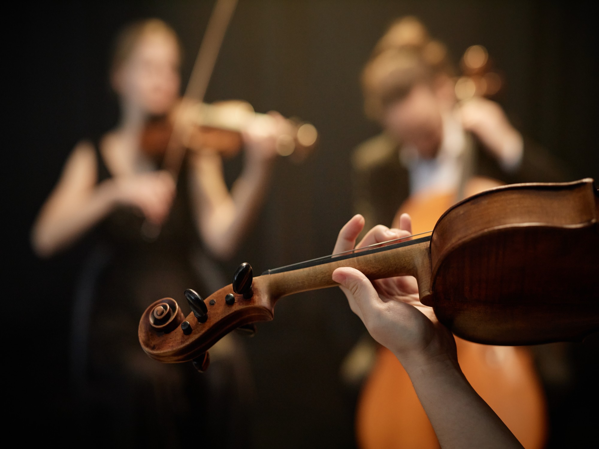 quartet string group playing instrument
