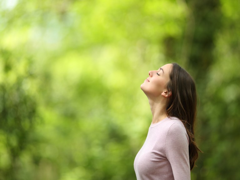 wellness meditate yoga pilates 2