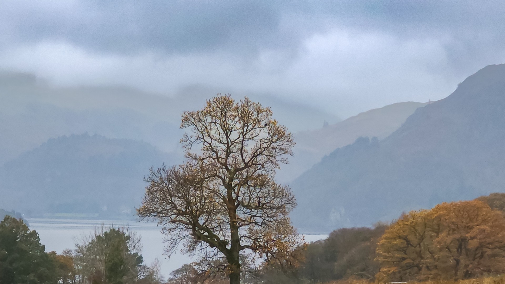 shutterstock_2545089869 (1)