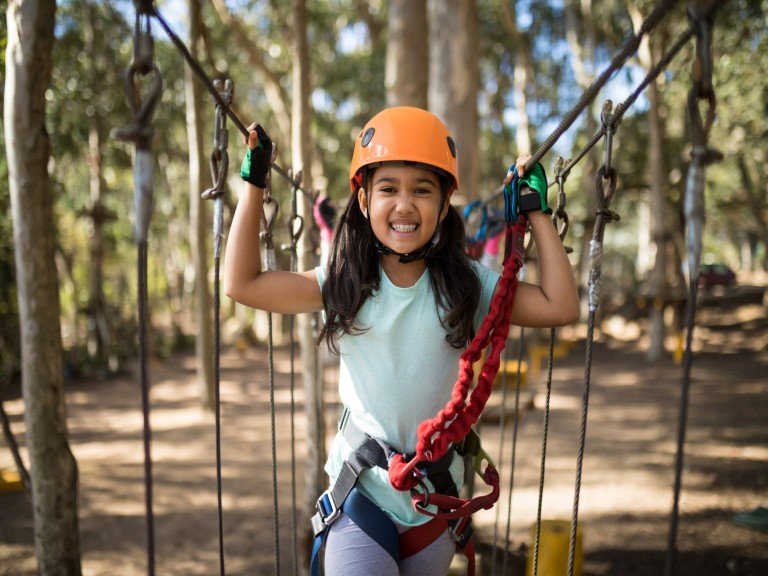 Whinlatter Forest Go Ape