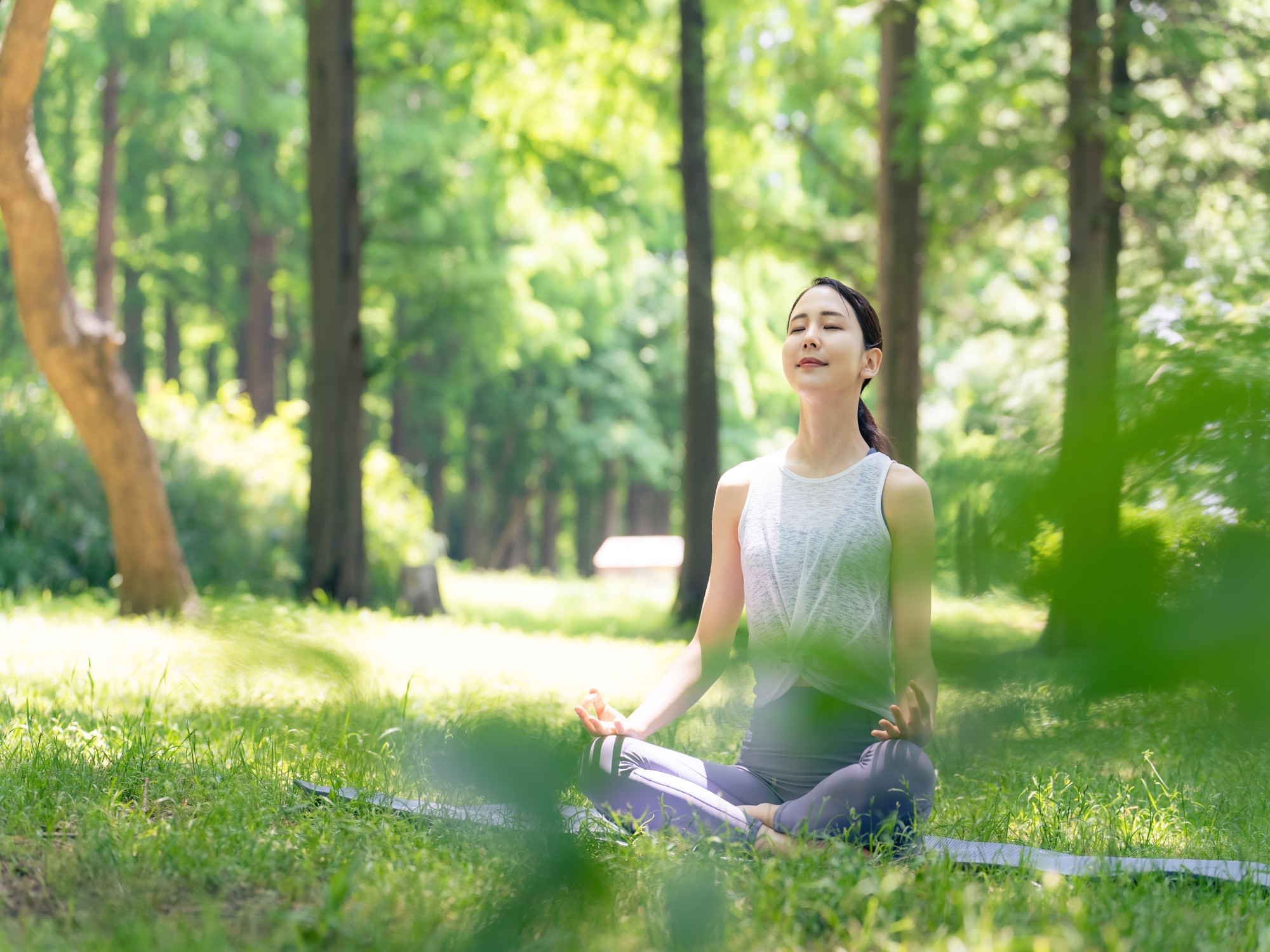 yoga outdoor tree grass calm relax