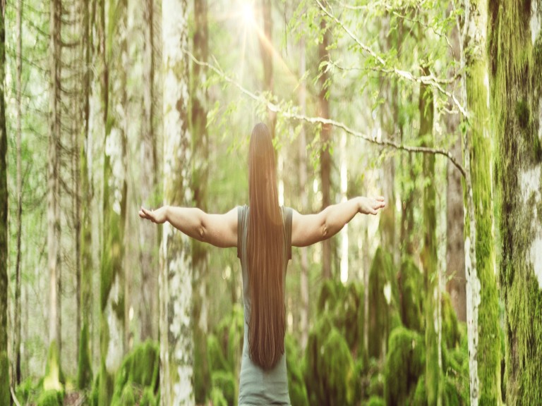 yoga outdoor trees calm