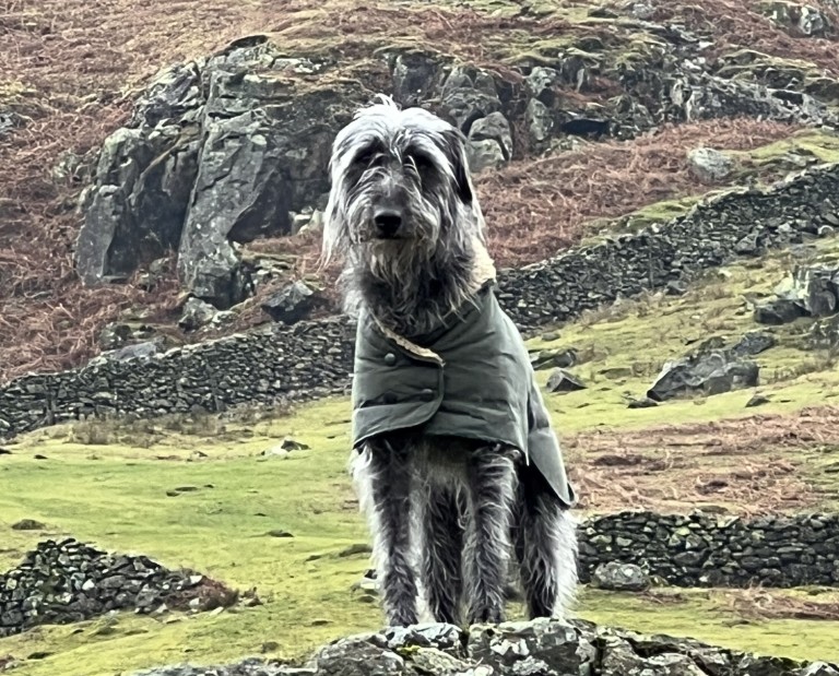 Mountain and Lowland Hiking Guide