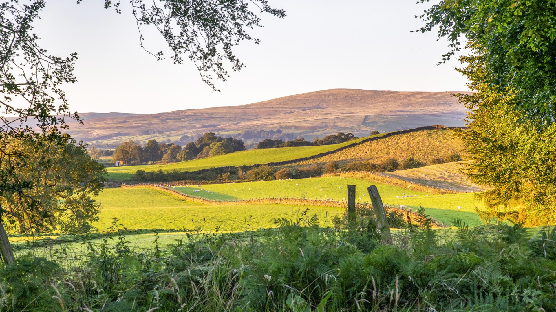 The-Rowley-Estates-view-to-Pennines-from-Birch-Retreat-shepherds-hut-holiday-home-near-Lake-District