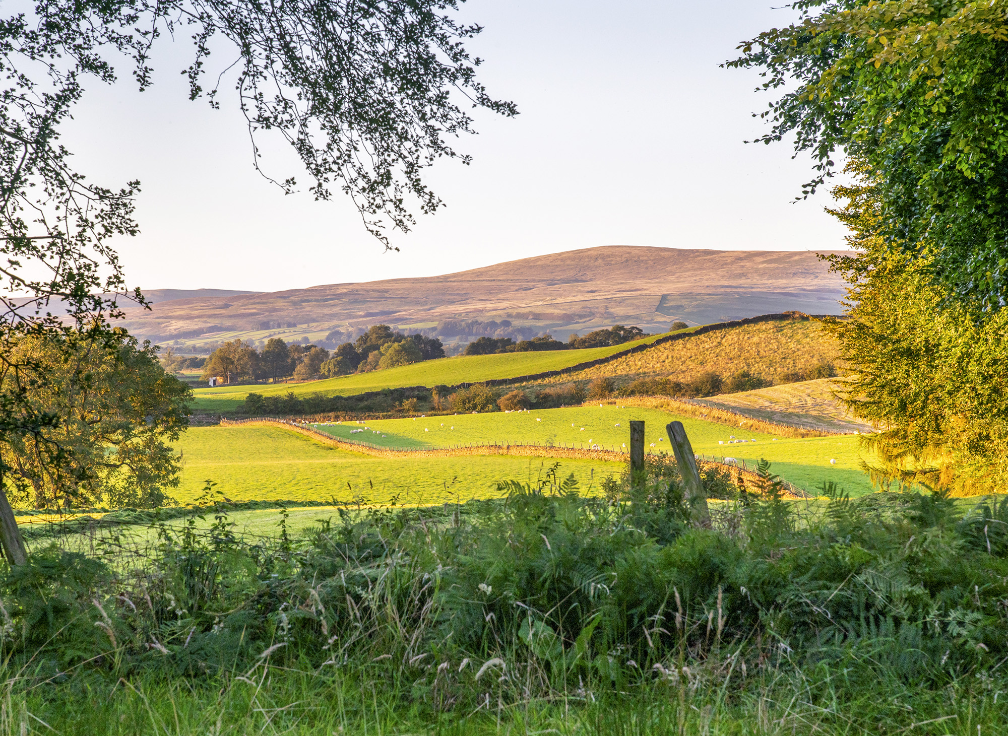Countryside View Simple Beautiful countryside views | The Rowley Estates