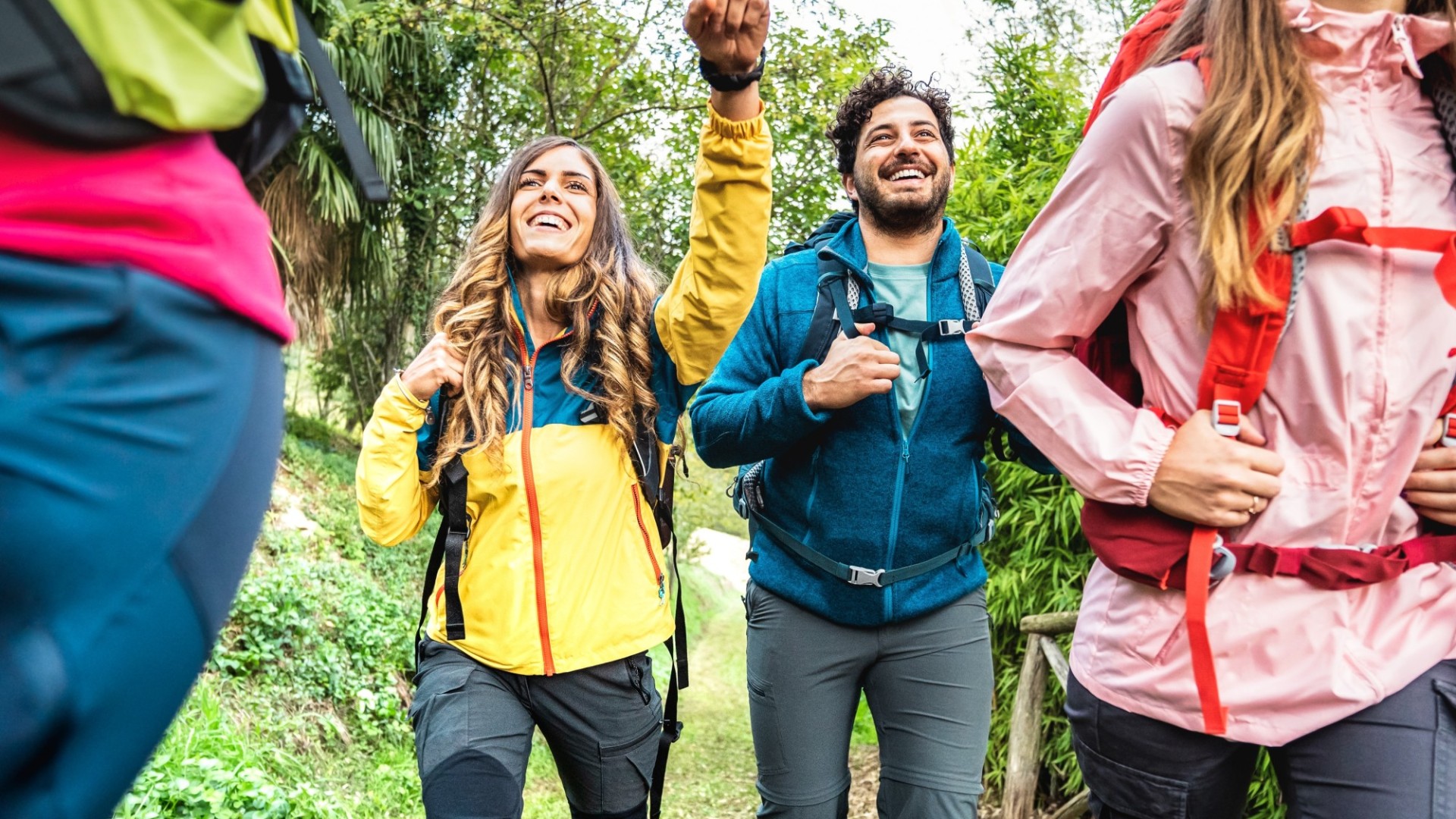 guided hikes and walks splash image