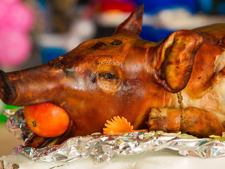 hog roast pig yummy food catering