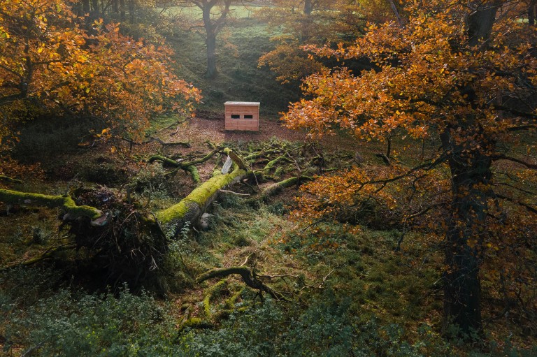 Fallen Oak wildlife hide