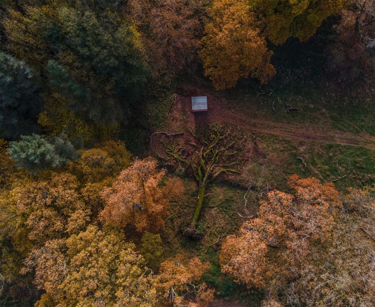 Fallen Oak wildlife viewing at Melmerby