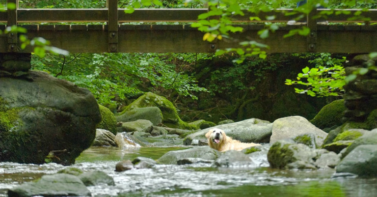 If you can bear to leave…